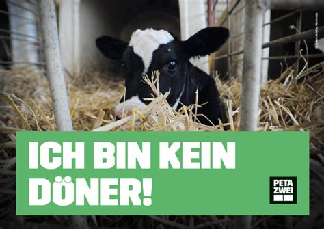 Kein Tier so wild 2025